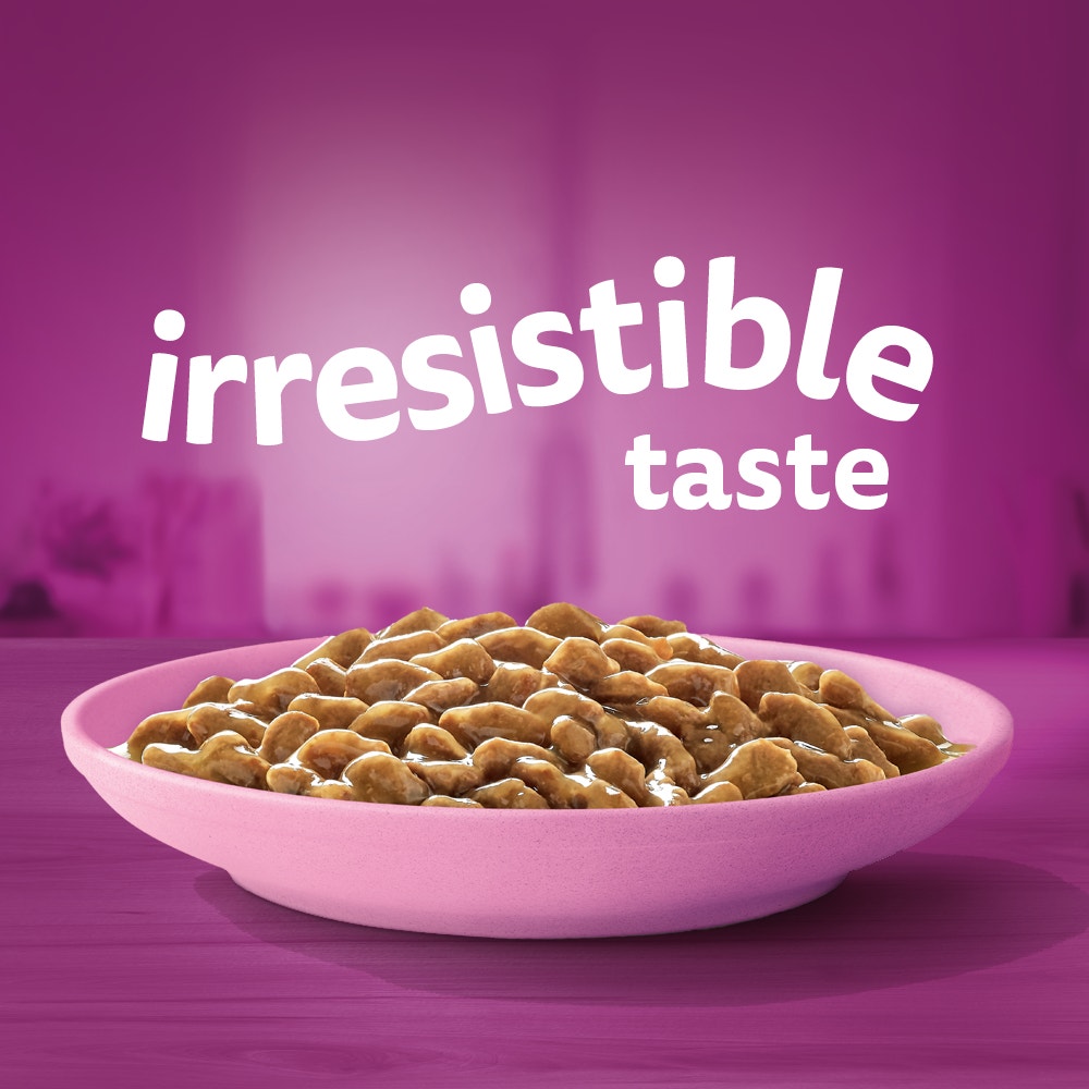 Kitten Wet Cat Food with Chicken Favourites In Gravy WHISKAS® AU